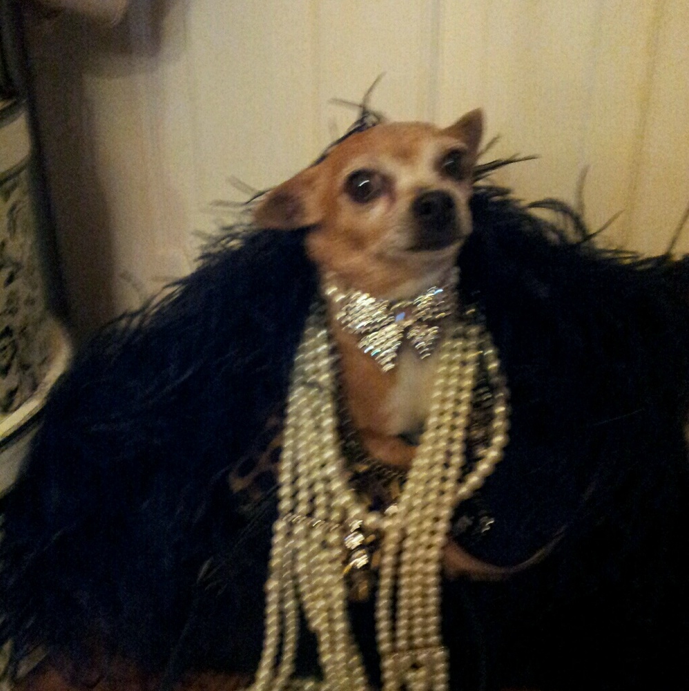 Meet your Posher, Karla